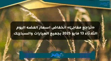 «تراجع مفاجئ» انخفاض أسعار الفضة اليوم الثلاثاء 13 مايو 2025 بجميع العيارات والسبائك